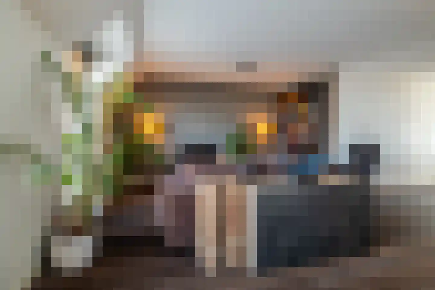 Markendaalseweg 28 E4 Breda thumbnail 18