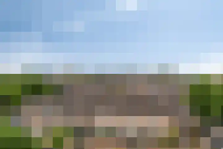 Markendaalseweg 28 E6 Breda thumbnail 17