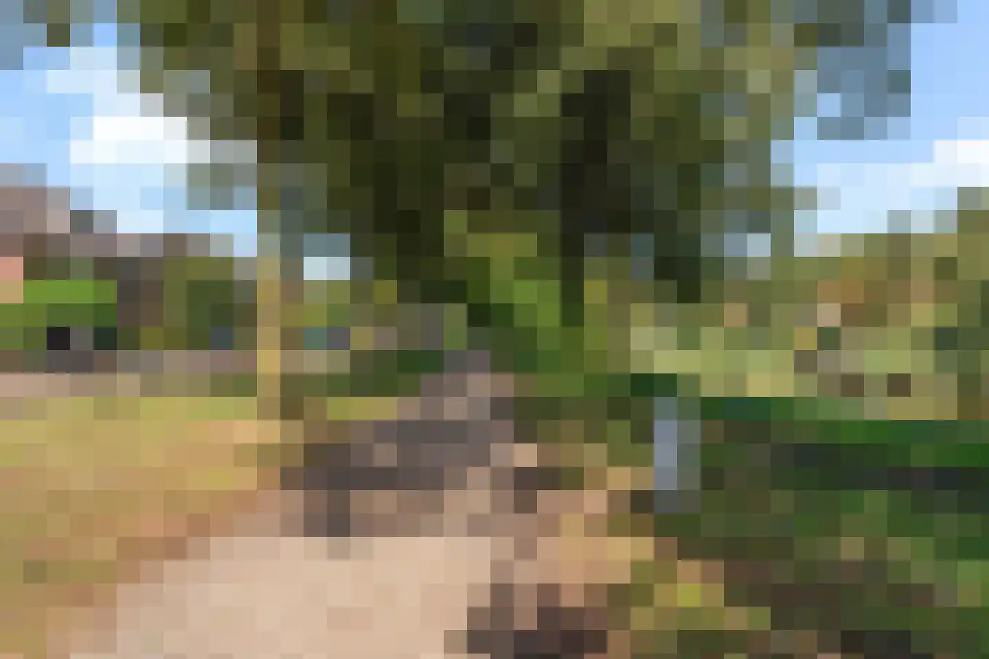 Markendaalseweg 337 Breda thumbnail 23