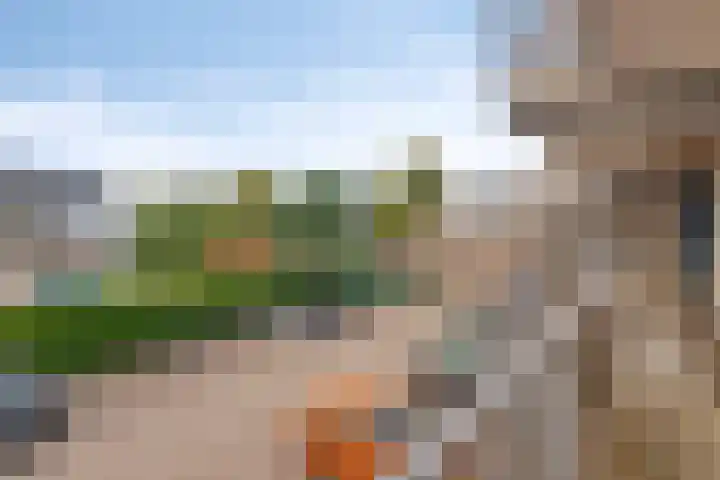 Markendaalseweg 355 Breda thumbnail 18