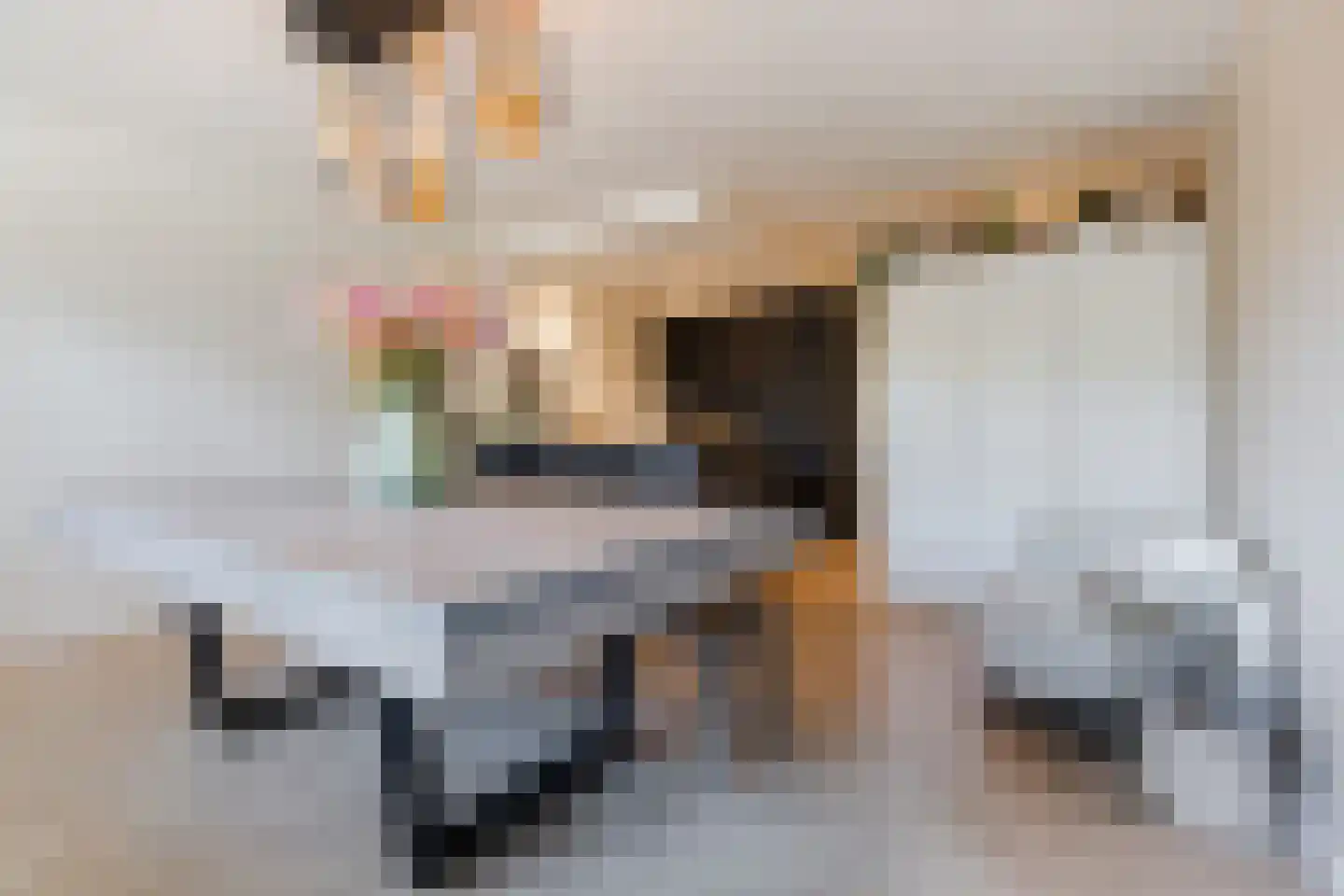 Markendaalseweg 373 Breda thumbnail 18