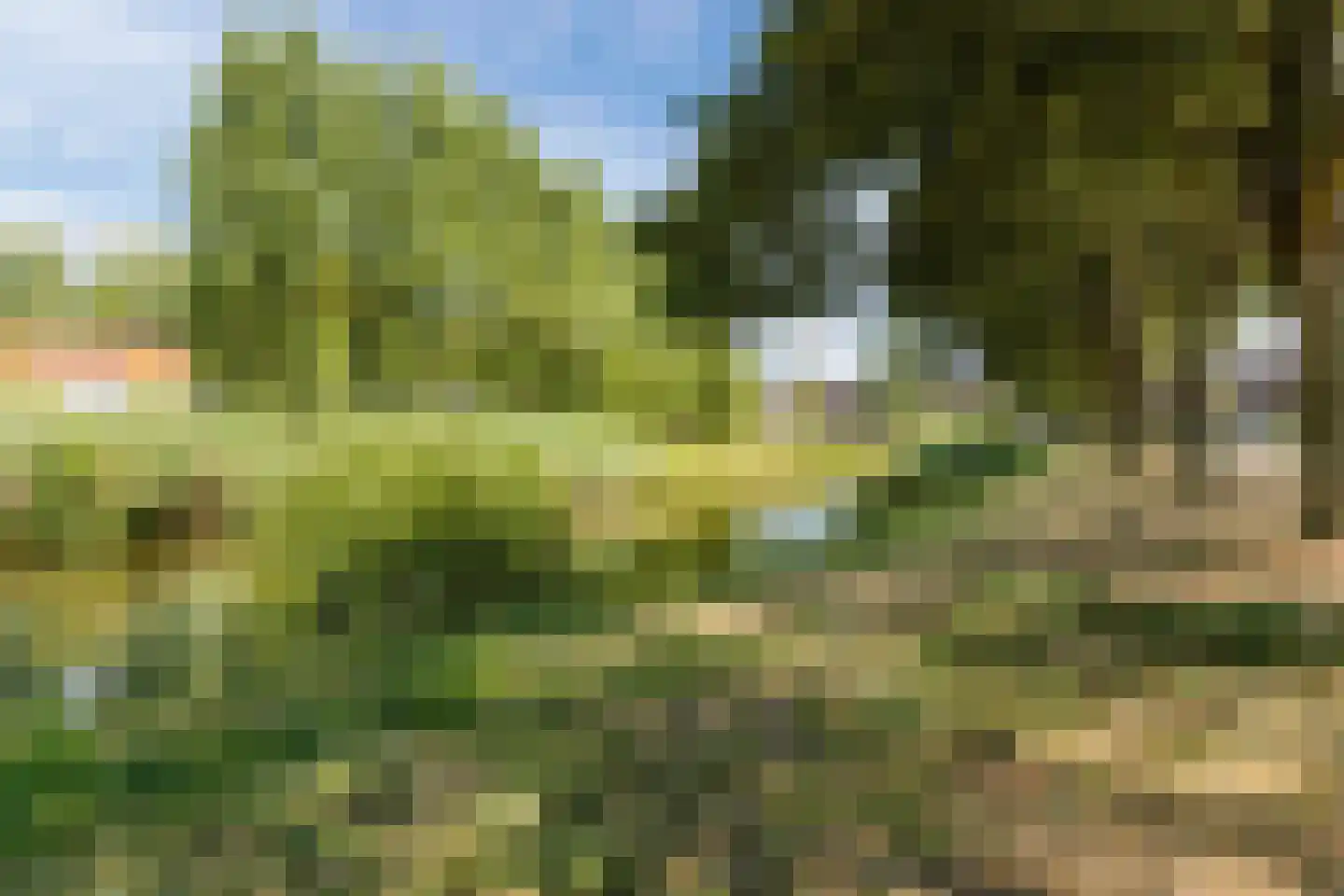 Markendaalseweg 373 Breda thumbnail 34