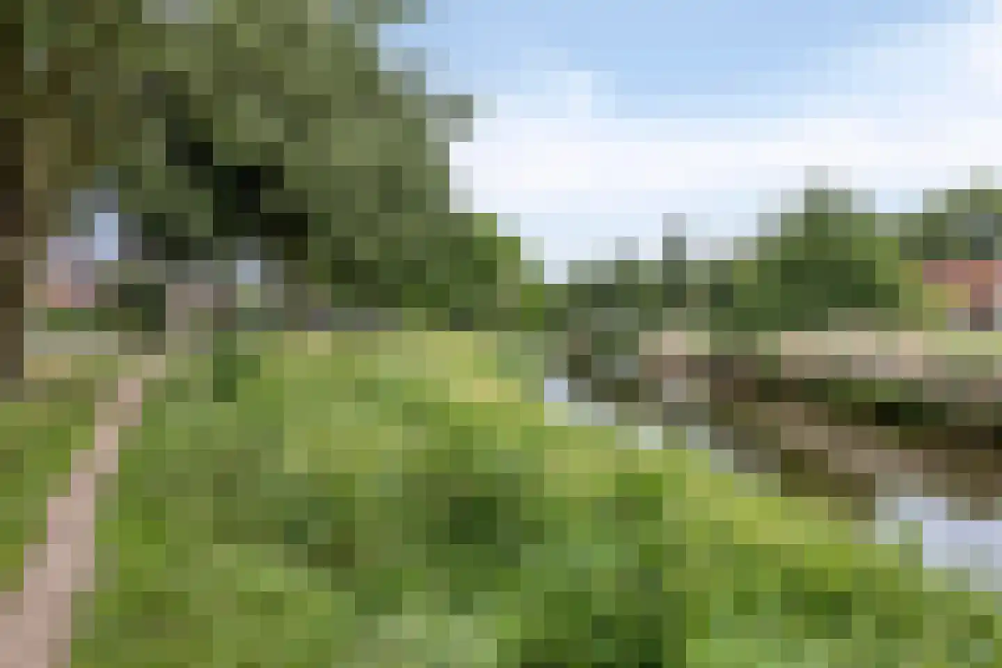 Markendaalseweg 375 Breda thumbnail 24