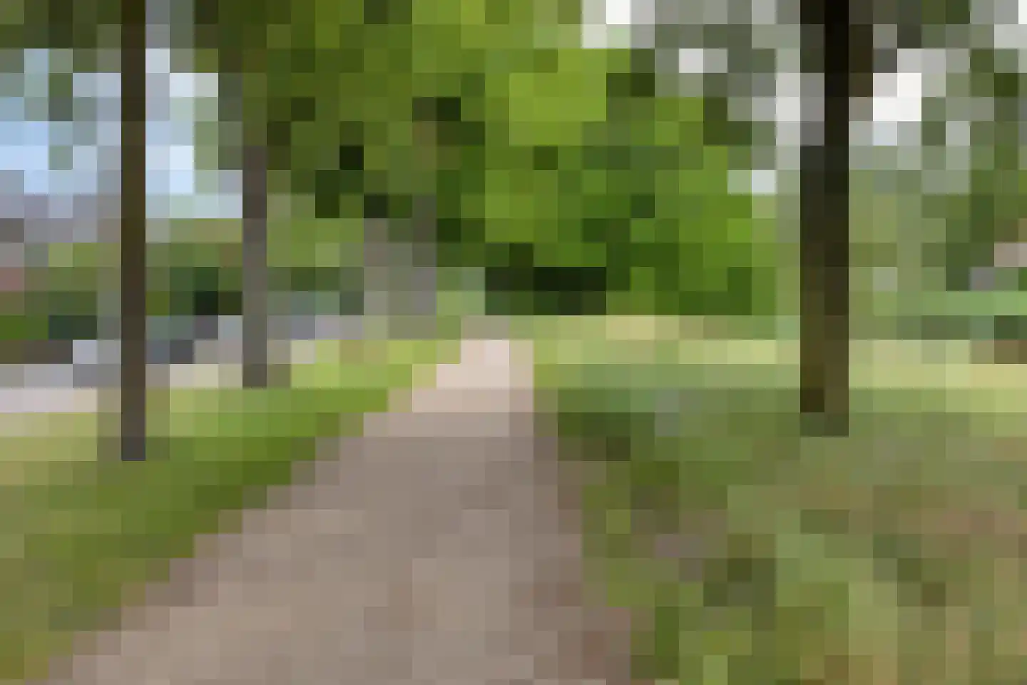 Markendaalseweg 375 Breda thumbnail 26