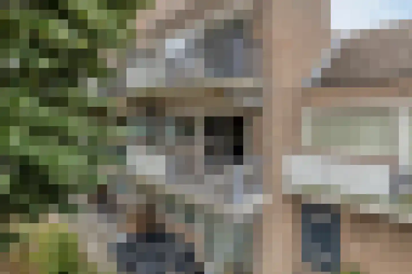Markendaalseweg 375 Breda thumbnail 4