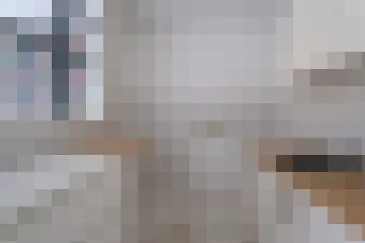 Markendaalseweg 393 Breda thumbnail 4