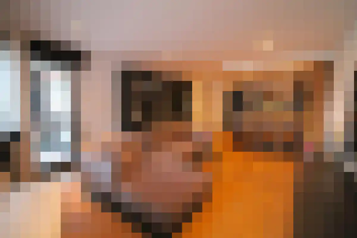 Markendaalseweg 64 Breda thumbnail 4