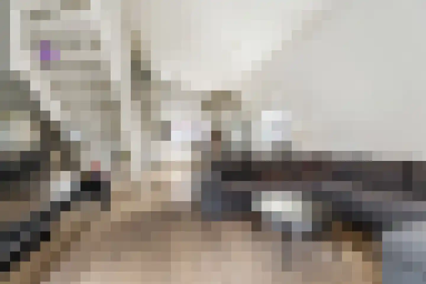 Markendaalseweg 64 C12 Breda thumbnail 7