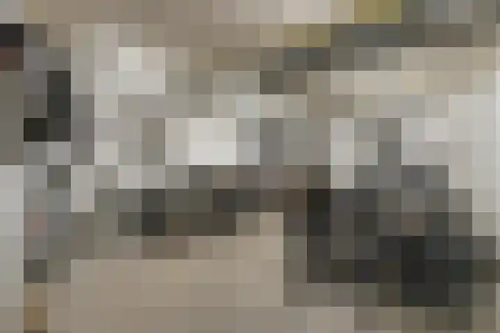 Markendaalseweg 64 C13 Breda thumbnail 28