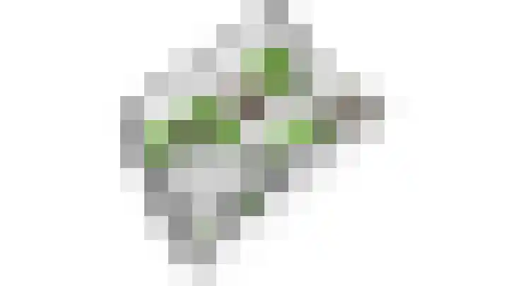 Markendaalseweg 64 C13 Breda thumbnail 34