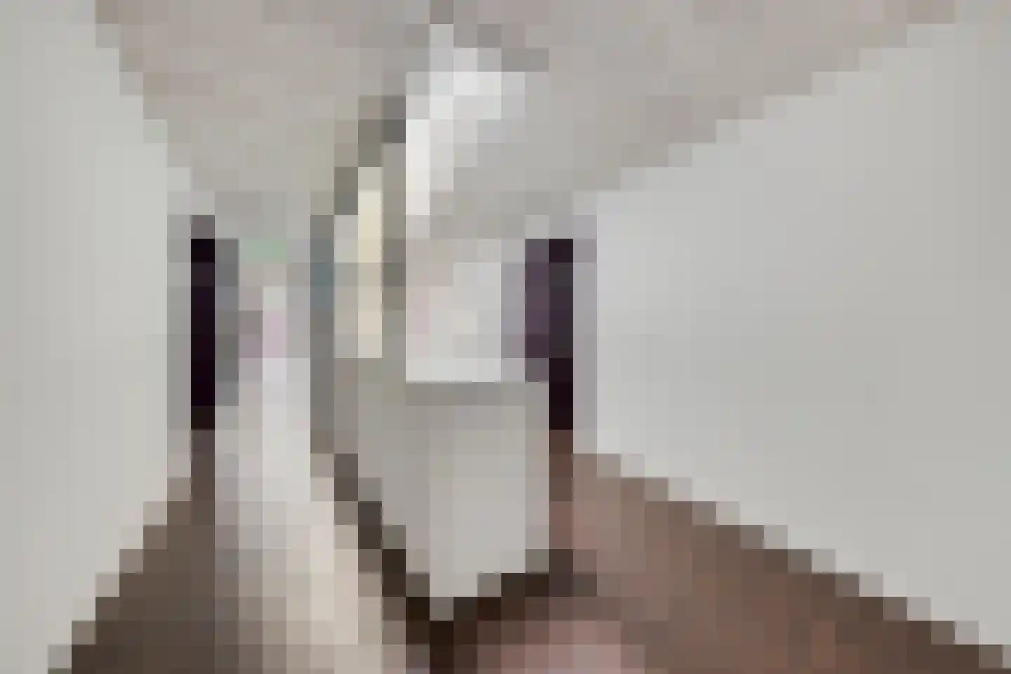 Markendaalseweg 64 C16 Breda thumbnail 10