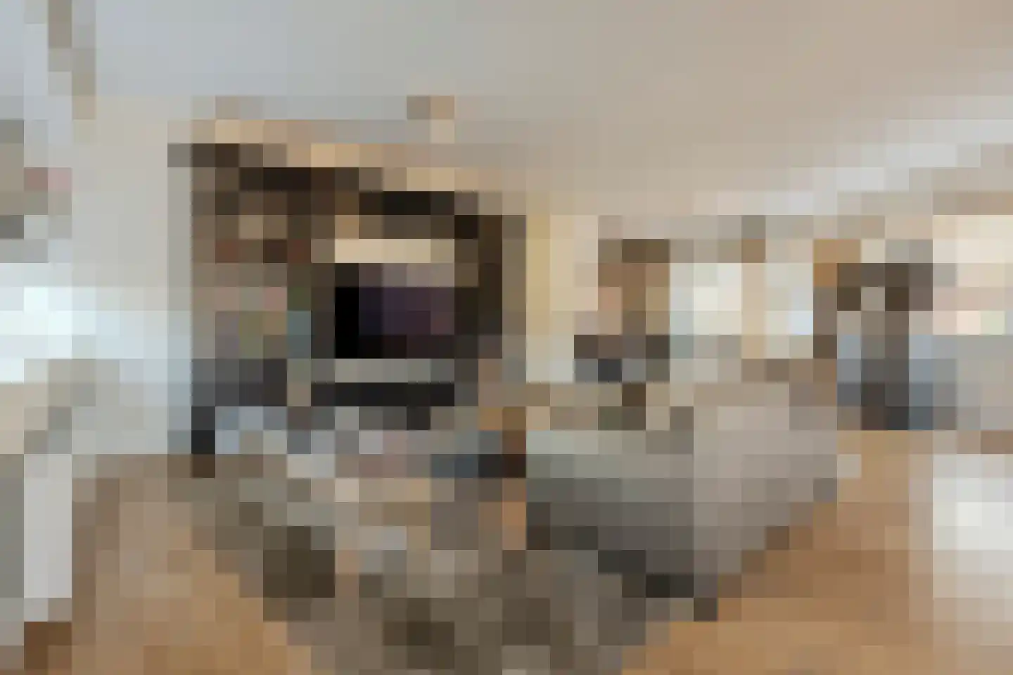 Markendaalseweg 64 C16 Breda thumbnail 16