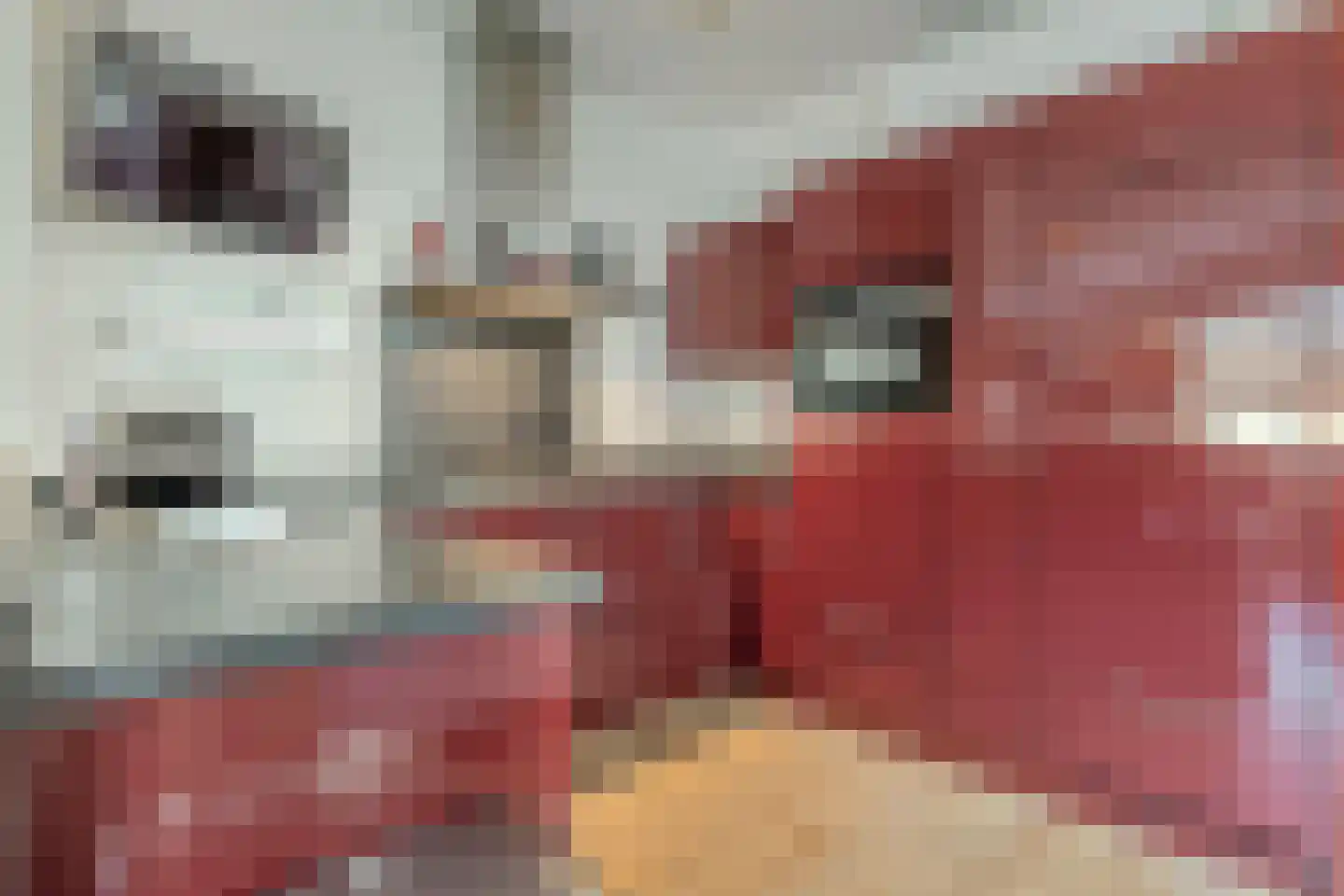 Markendaalseweg 64 C16 Breda thumbnail 23