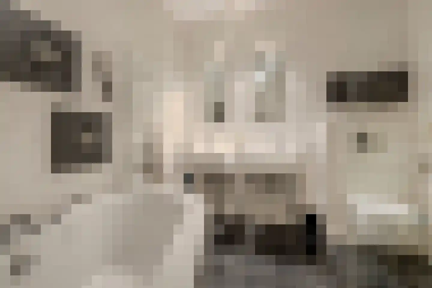 Markendaalseweg 64 C16 Breda thumbnail 36
