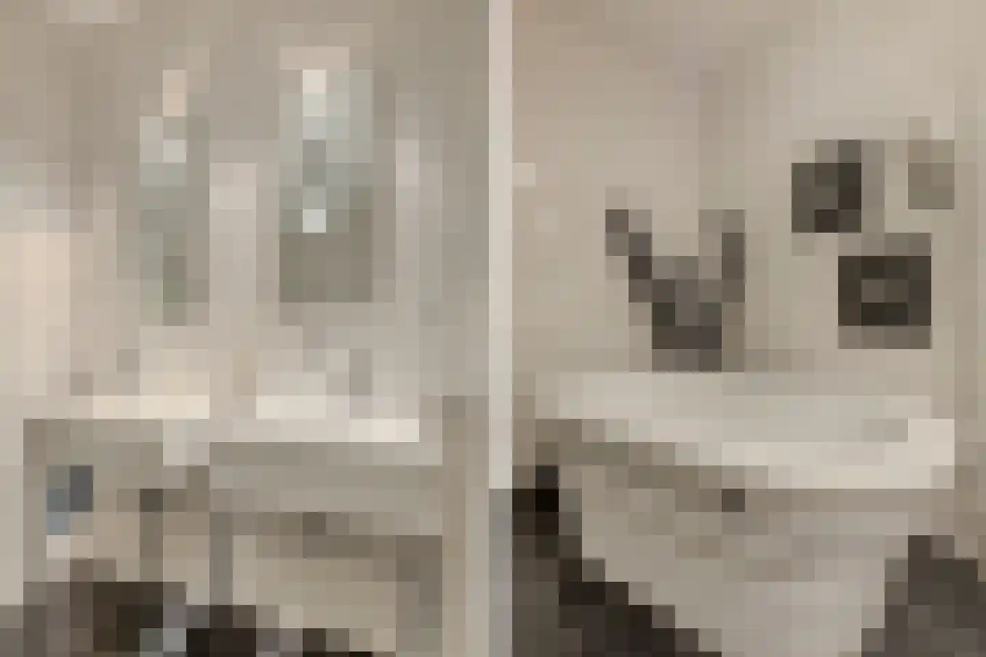 Markendaalseweg 64 C16 Breda thumbnail 37