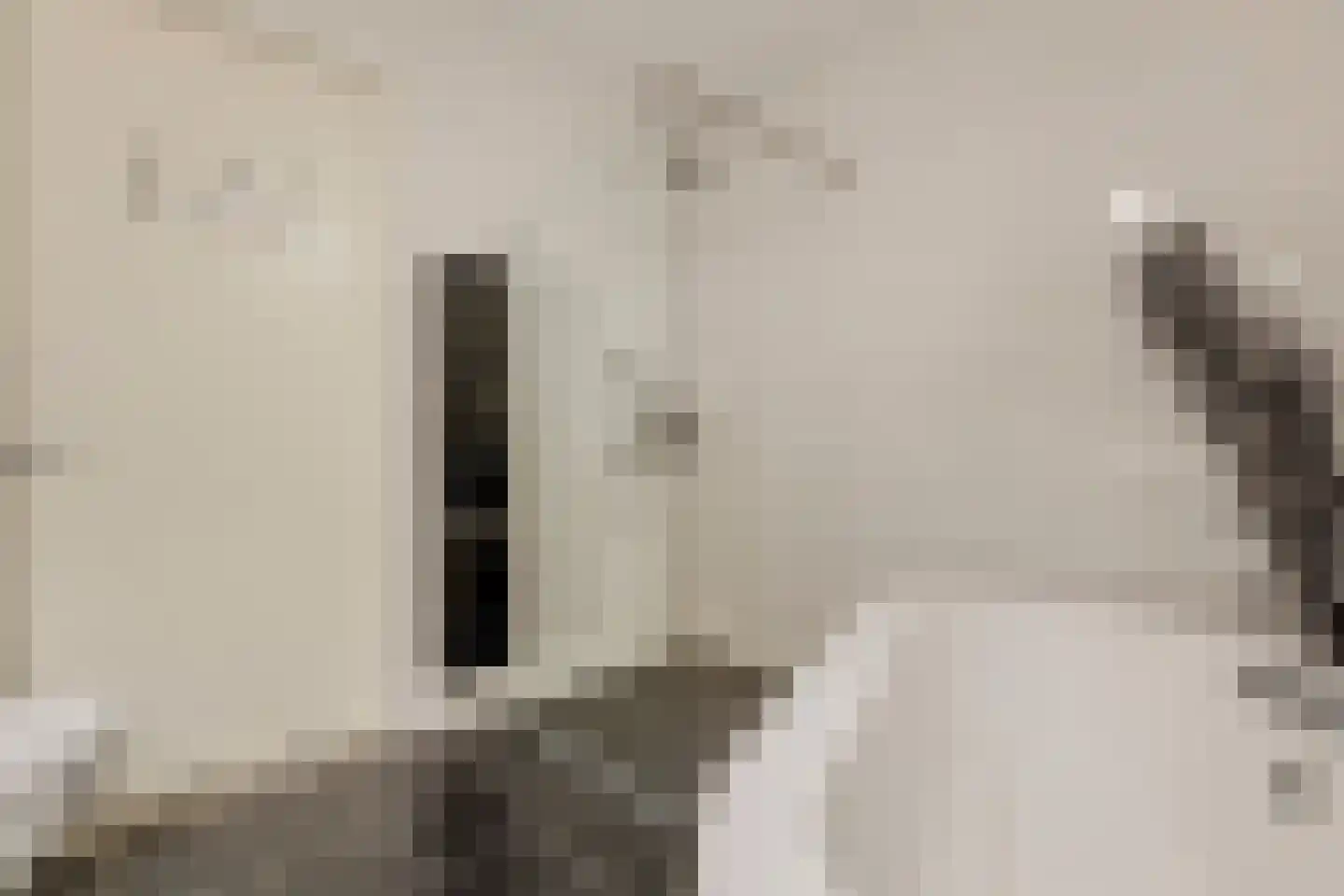 Markendaalseweg 64 C16 Breda thumbnail 38