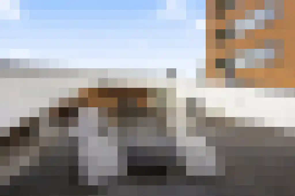 Markendaalseweg 64 C16 Breda thumbnail 41