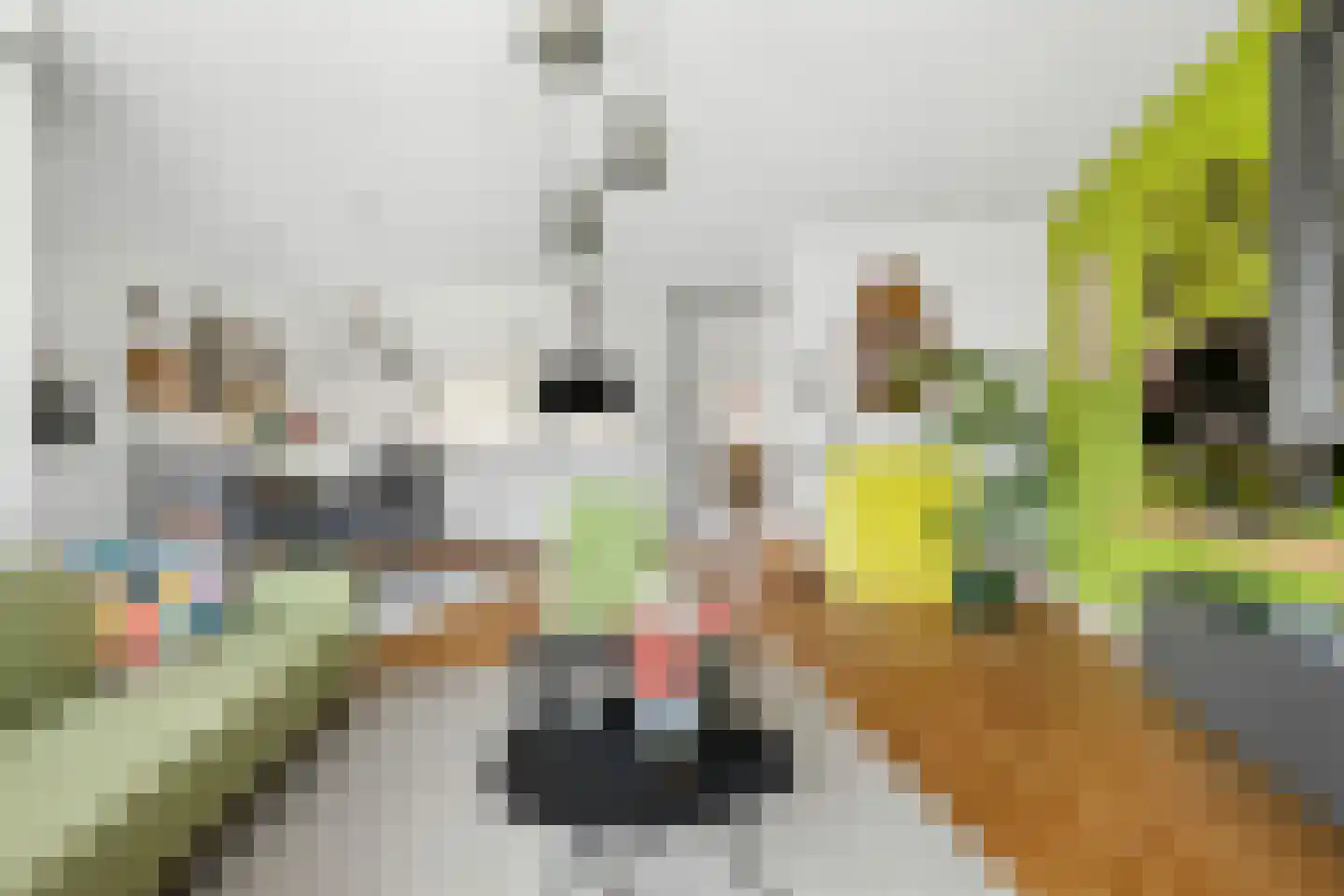 Markendaalseweg 64 C19 Breda thumbnail 16