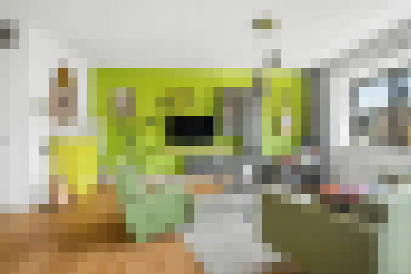 Markendaalseweg 64 C19 Breda thumbnail 18