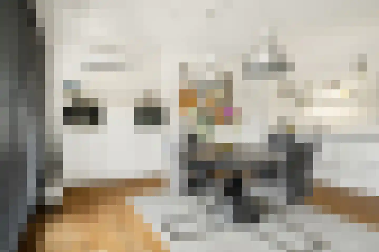 Markendaalseweg 64 C19 Breda thumbnail 22