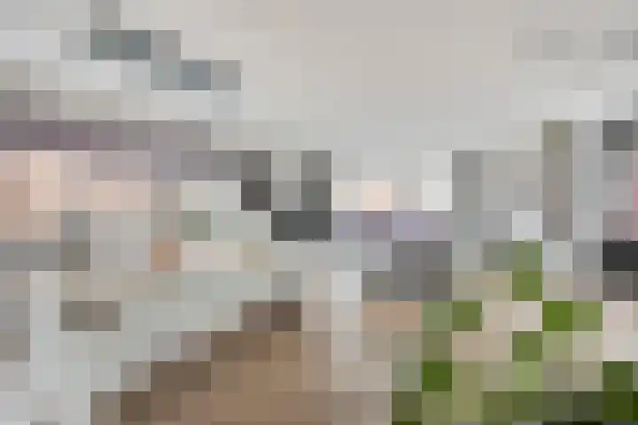 Markendaalseweg 64 D23 Breda thumbnail 24