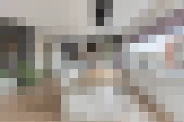 Markendaalseweg 64 D23 Breda thumbnail 25