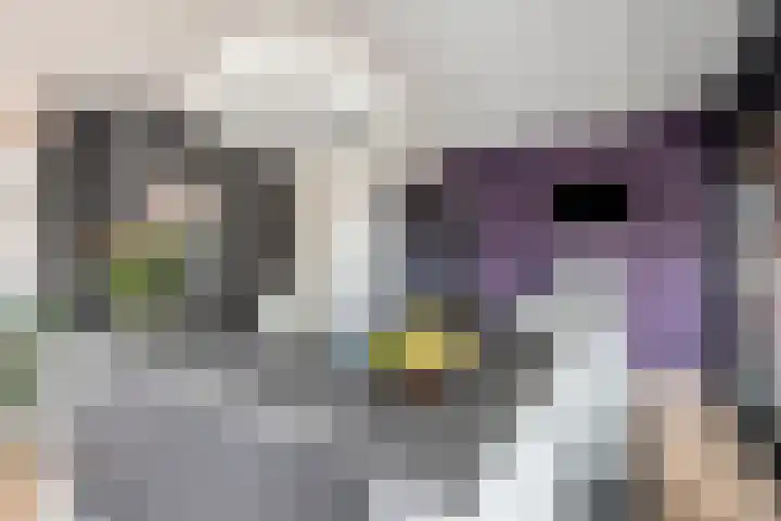 Markendaalseweg 64 D23 Breda thumbnail 28