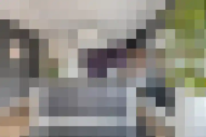 Markendaalseweg 64 D23 Breda thumbnail 29