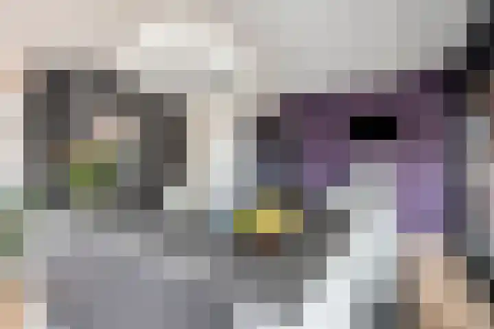 Markendaalseweg 64 D23 Breda thumbnail 4