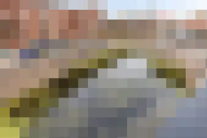 Markendaalseweg 64 D23 Breda thumbnail 50