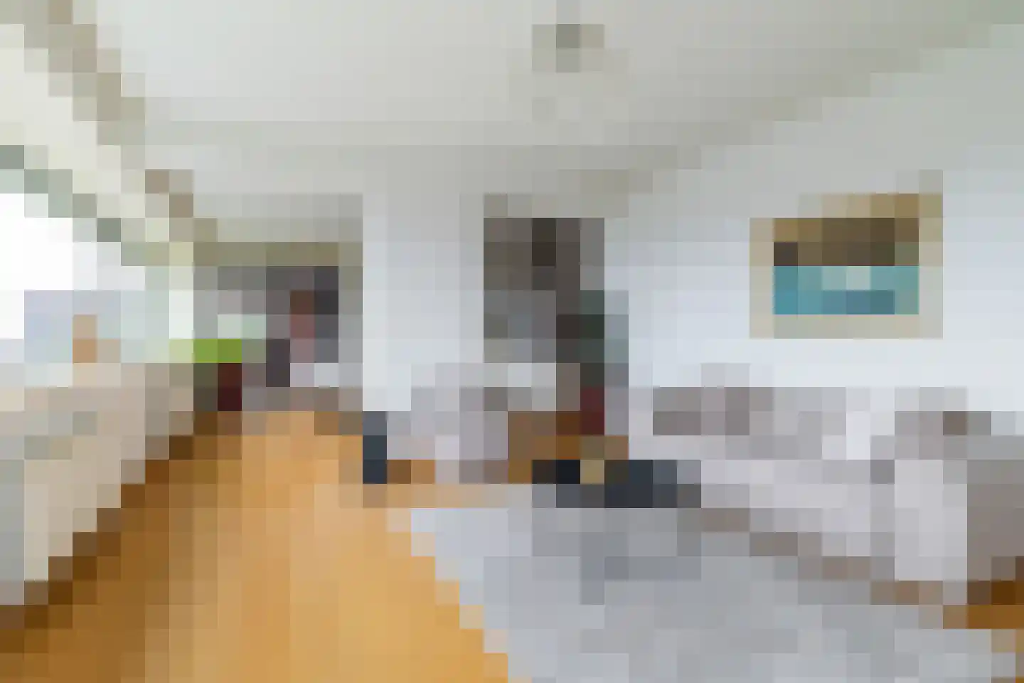 Markendaalseweg 64 H36 Breda thumbnail 12