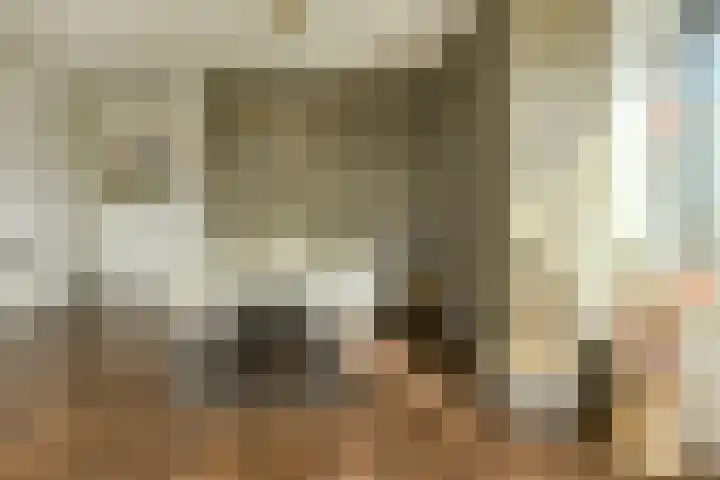 Markendaalseweg 64 H37 Breda thumbnail 15