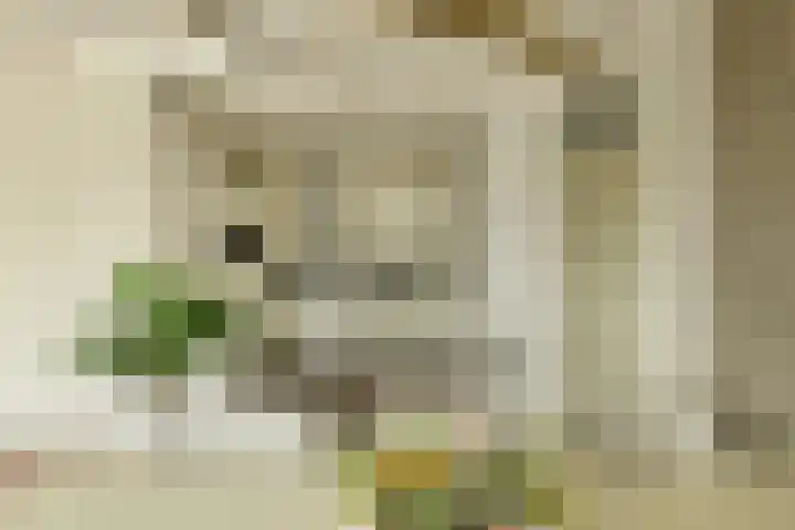 Markendaalseweg 64 H37 Breda thumbnail 16