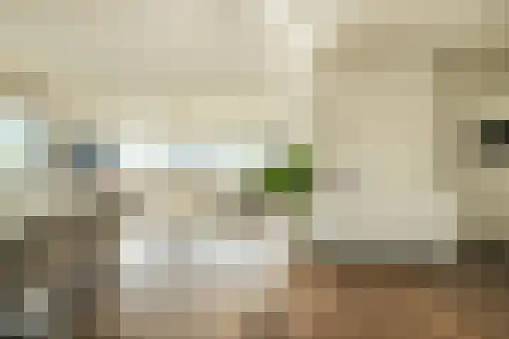 Markendaalseweg 64 H37 Breda thumbnail 20