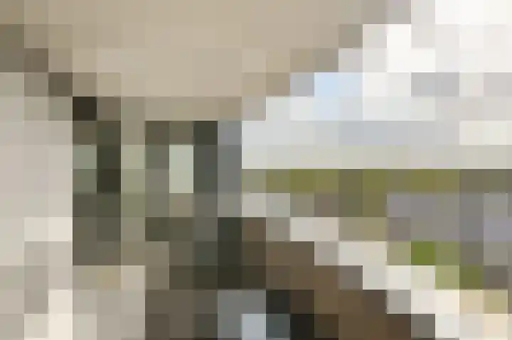 Markendaalseweg 64 H37 Breda thumbnail 5