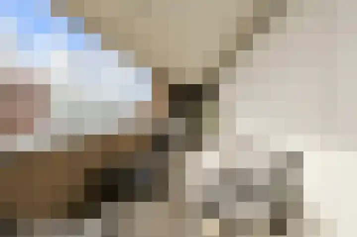Markendaalseweg 64 H37 Breda thumbnail 6