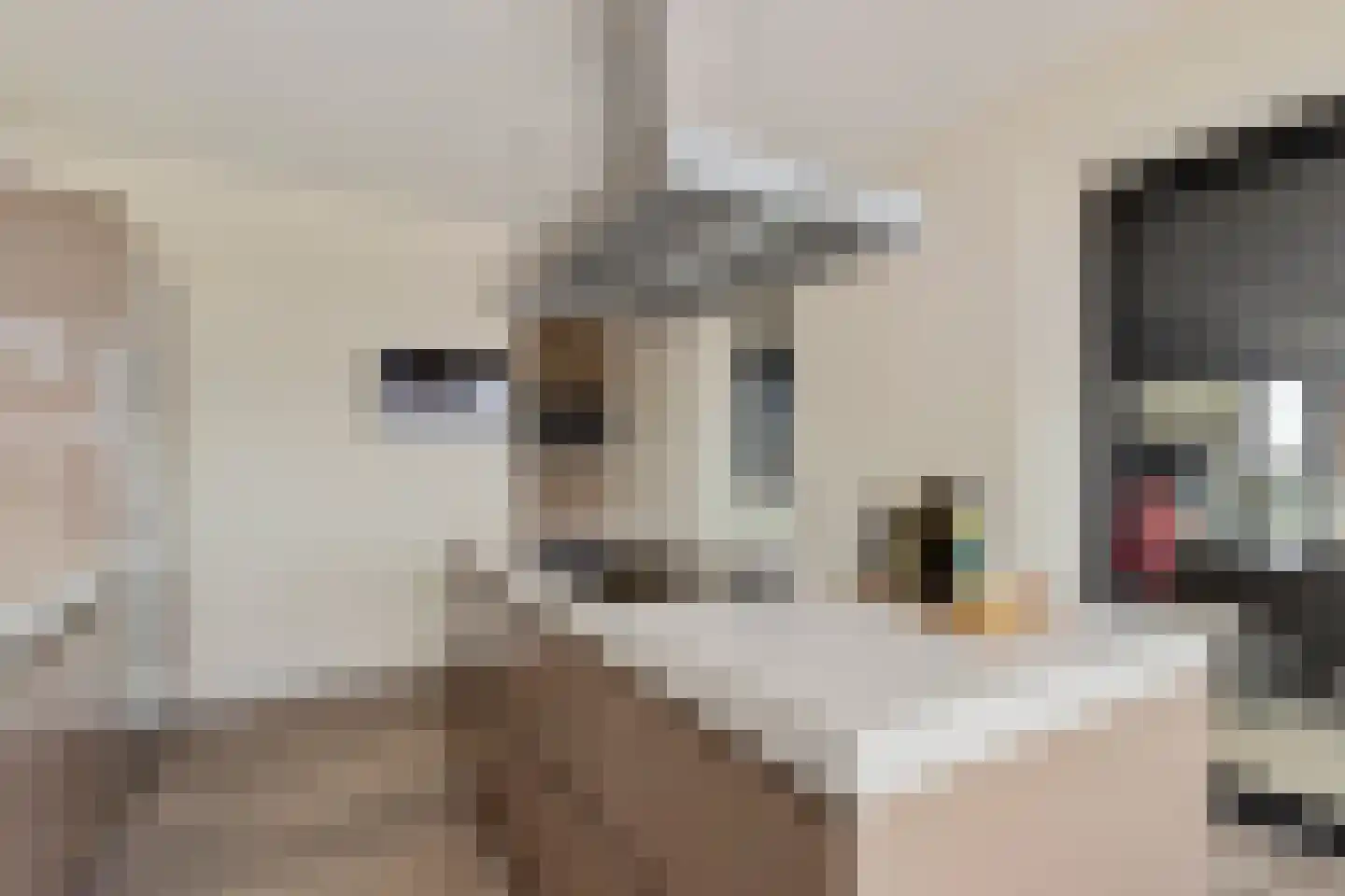Markendaalseweg 64 J38 Breda thumbnail 33