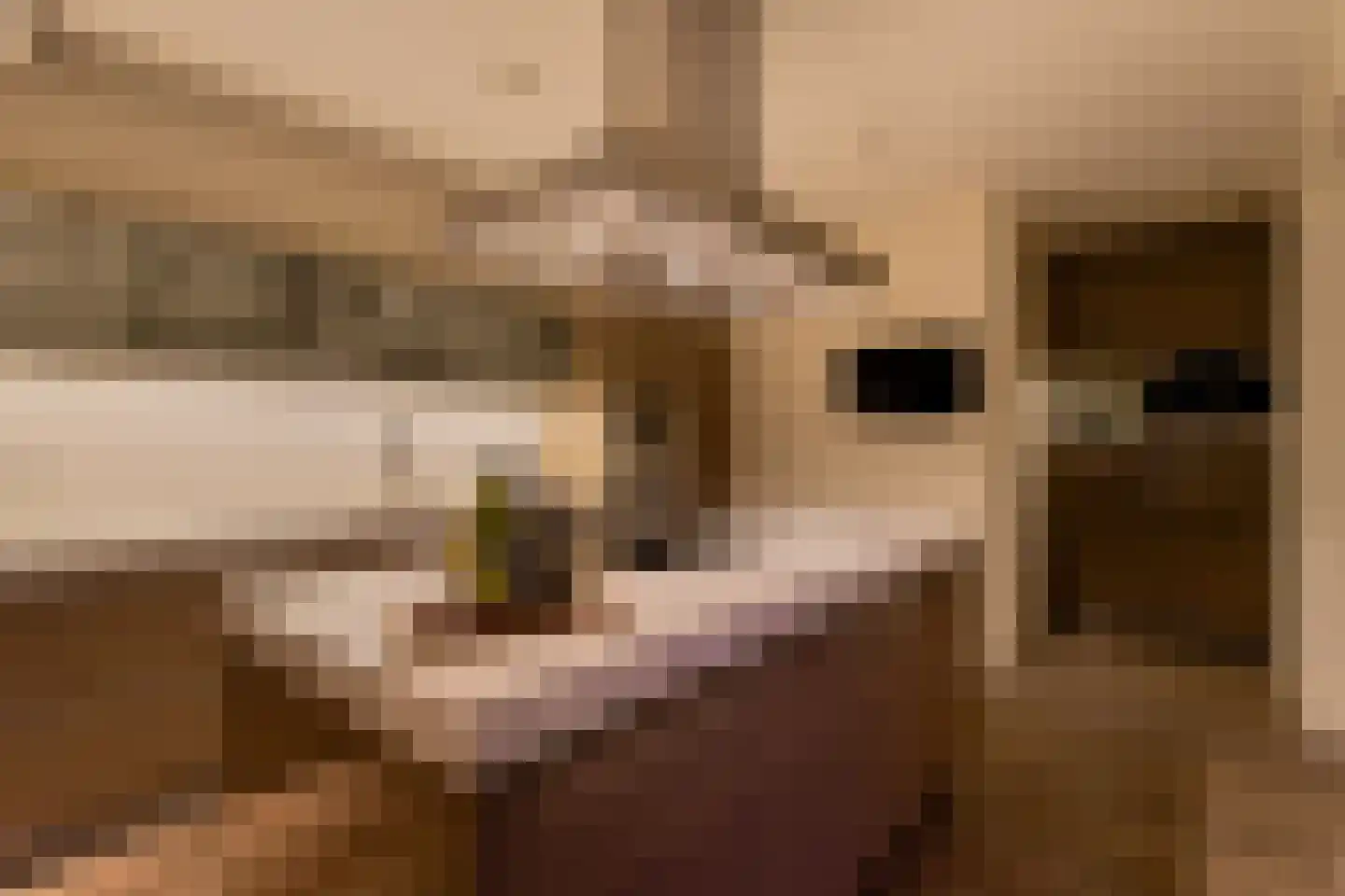 Markendaalseweg 64 J38 Breda thumbnail 35
