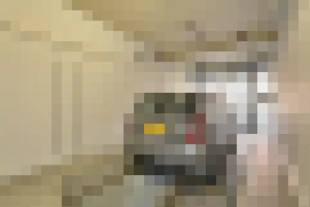 Markendaalseweg 64 J38 Breda thumbnail 62