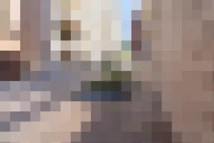 Markendaalseweg 74 C4 Breda thumbnail 27