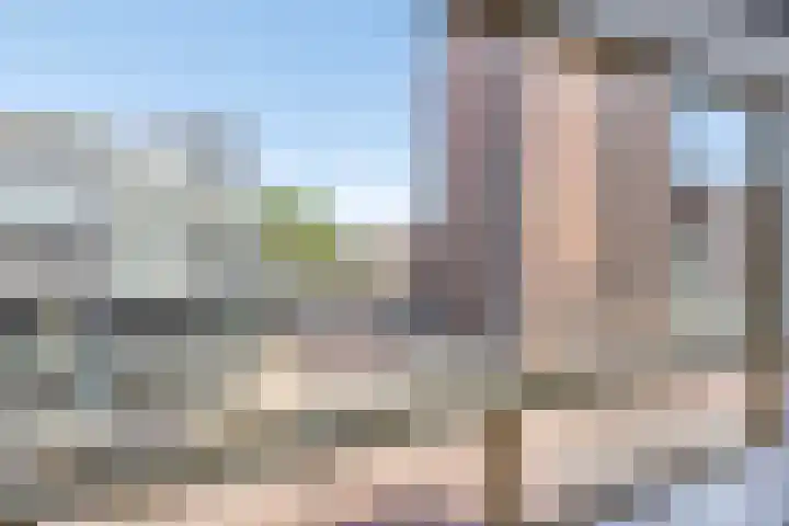 Markendaalseweg 74 C5 Breda thumbnail 18
