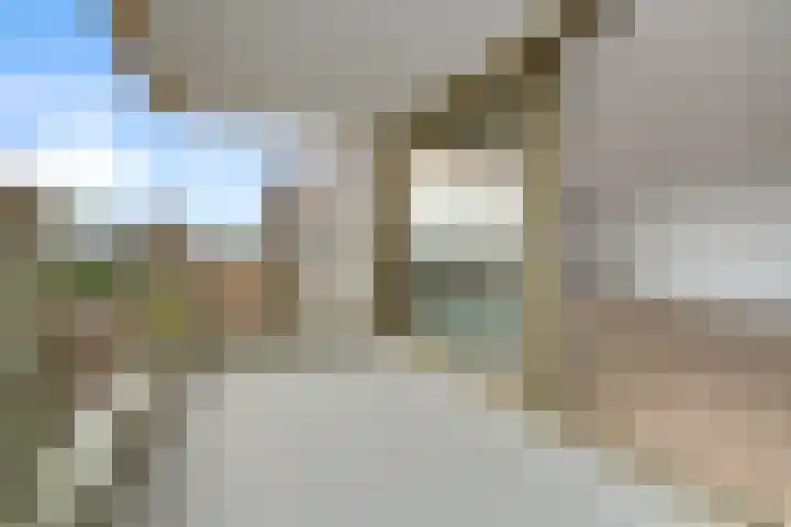 Markendaalseweg 74 F3 Breda thumbnail 4