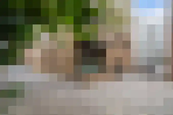 Markendaalseweg 74 F3 Breda thumbnail 43