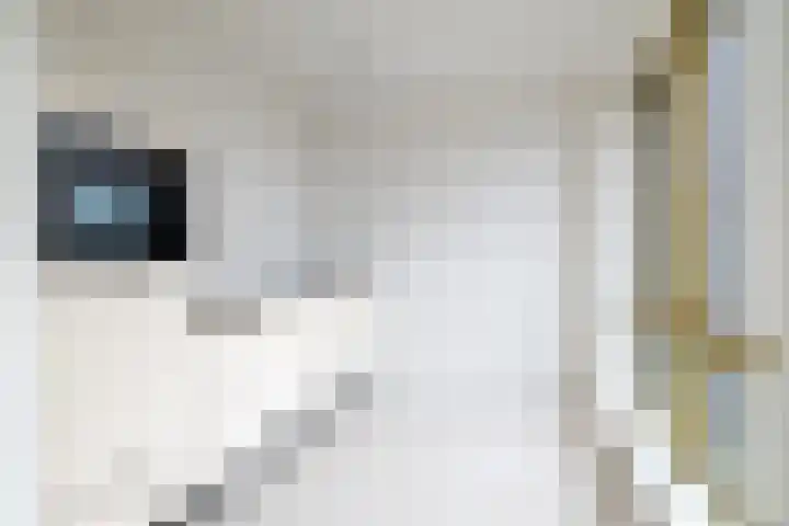 Markendaalseweg 74 G3 Breda thumbnail 14