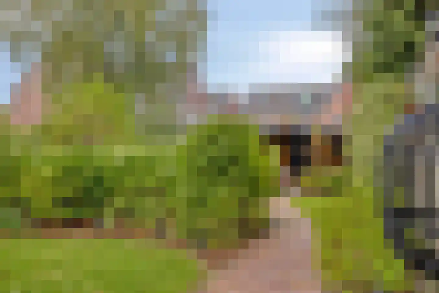 Markendoel 6 A Ugchelen thumbnail 17