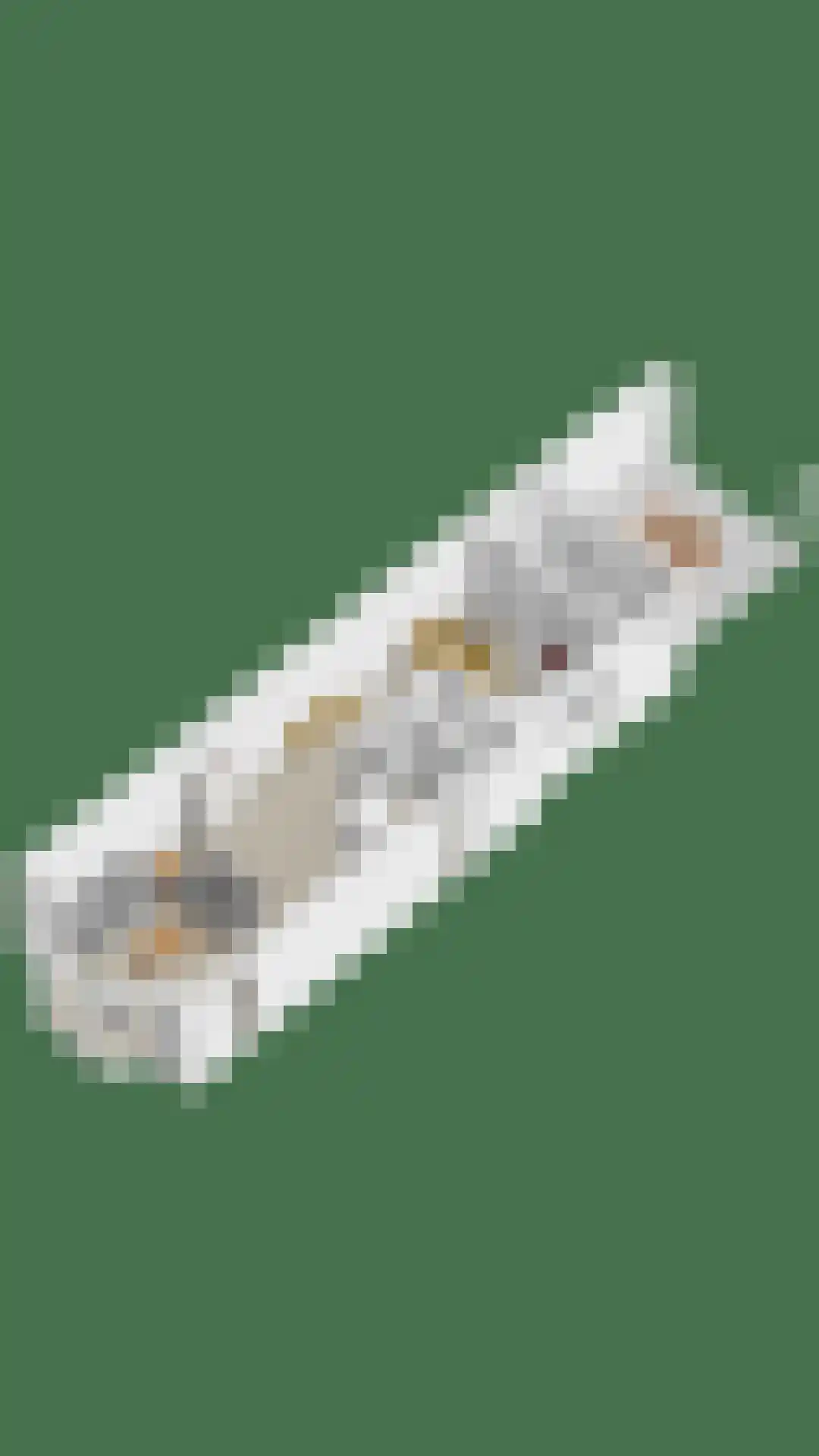 Markendoel 6 A Ugchelen thumbnail 38