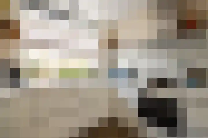 Markengouw 117 Amsterdam thumbnail 12
