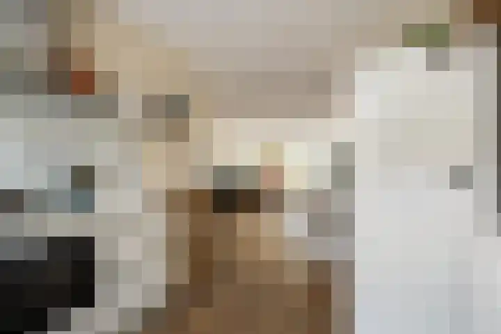 Markengouw 117 Amsterdam thumbnail 13