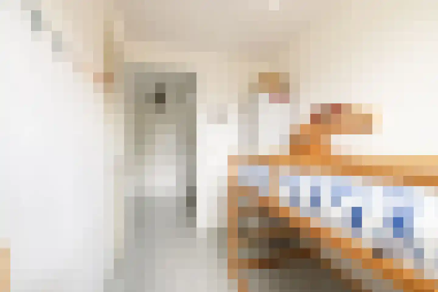 Markengouw 117 Amsterdam thumbnail 19