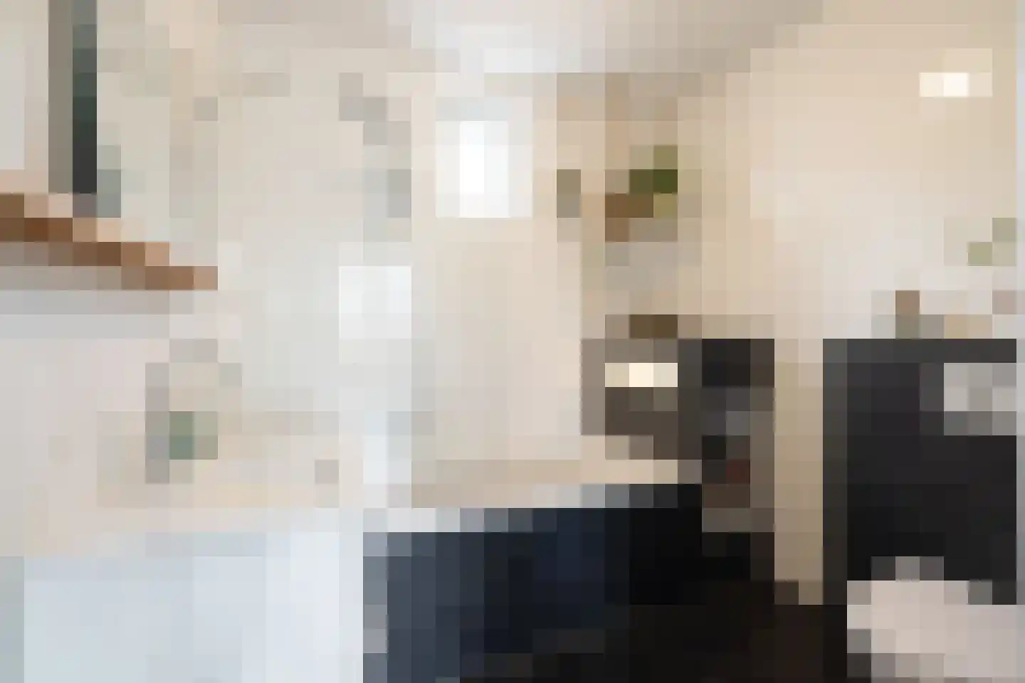 Markengouw 117 Amsterdam thumbnail 22